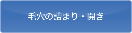 毛穴の詰まり・開き